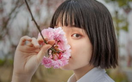 樱花小姐姐完整版下载,邂逅浪漫，尽享唯美视觉盛宴