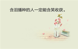个性签名励志,精选励志个性签名，激发内心力量