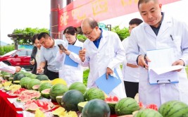 中国人的“吃瓜自由”底气越来越足2025年5月29日