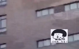赞美小姐姐的短视频句子,短视频中尽显魅力