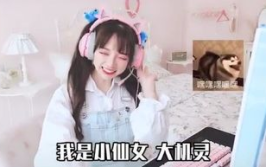 小姐姐配音大赛获奖作品,小姐姐配音大赛获奖作品集锦